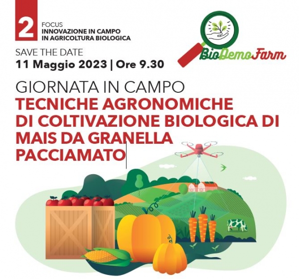 Giornata in Campo: Tecniche Agronomiche di Coltivazione Biologica di Mais da Granella Pacciamato