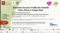 Giornata Tecnica Frutticola varietà Rosy Glow e Cripps Red
