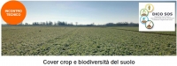 DICO SOS Cover crop e biodiversità del suolo – pubblicazione atti del convegno